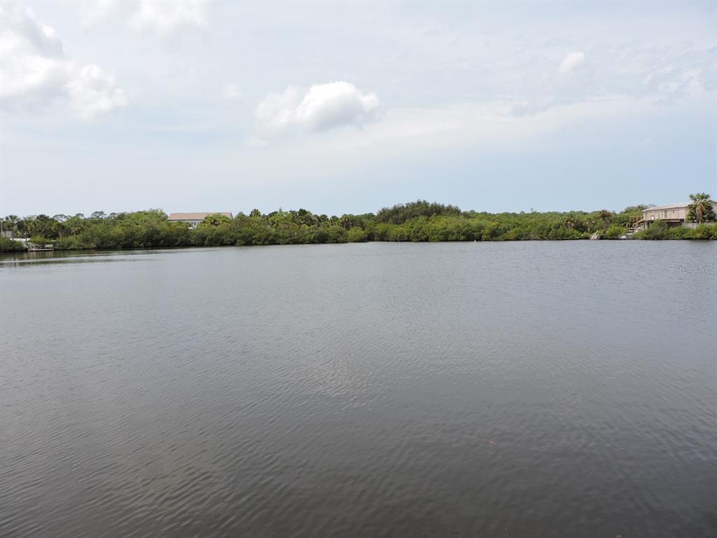 7717 Deedra Circle Port Richey, FL 34668 - Photo 7 of 26 Gallery Image 7