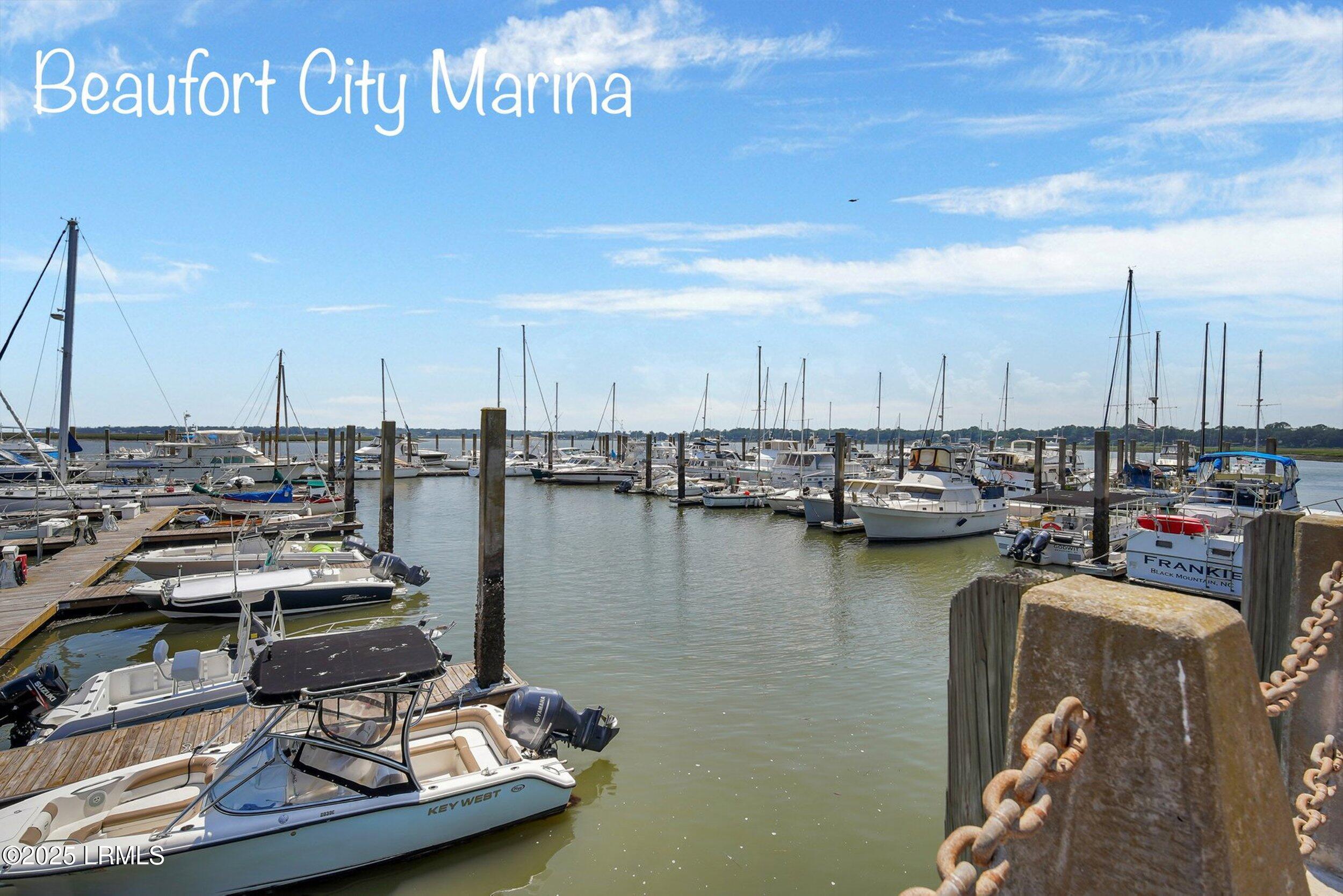 207 Goethe Hill Road Beaufort, SC 29906 - Photo 34 of 43 10 minutes away