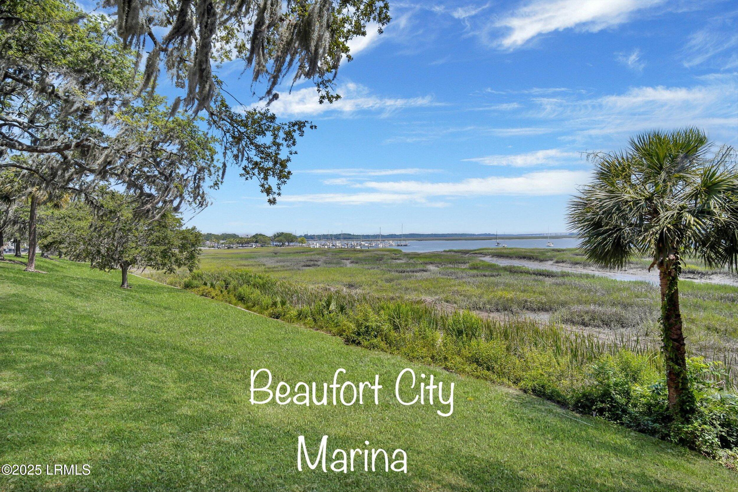 207 Goethe Hill Road Beaufort, SC 29906 - Photo 35 of 43 downtown Beaufort