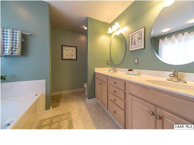6725 Amicus Road Ruckersville, VA 22968 - Photo 25 of 50 a bathroom with a double vanity sink mirror and bathtub