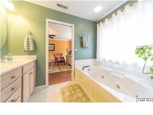 6725 Amicus Road Ruckersville, VA 22968 - Photo 26 of 50 a en suite bathroom with a tub double vanity and a windows