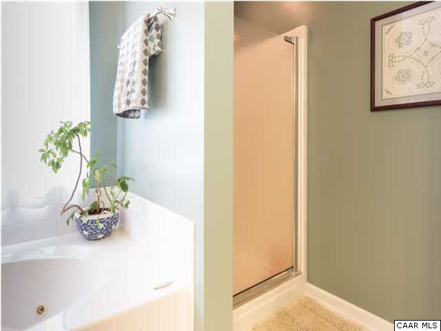 6725 Amicus Road Ruckersville, VA 22968 - Photo 27 of 50 a room with a mirror