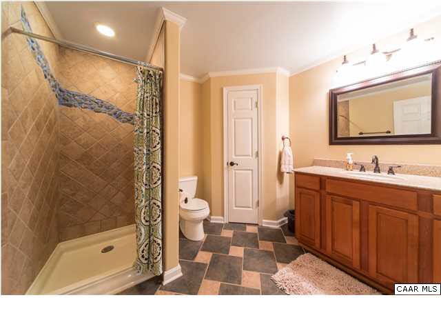 6725 Amicus Road Ruckersville, VA 22968 - Photo 39 of 50 a bathroom with a sink a toilet and shower