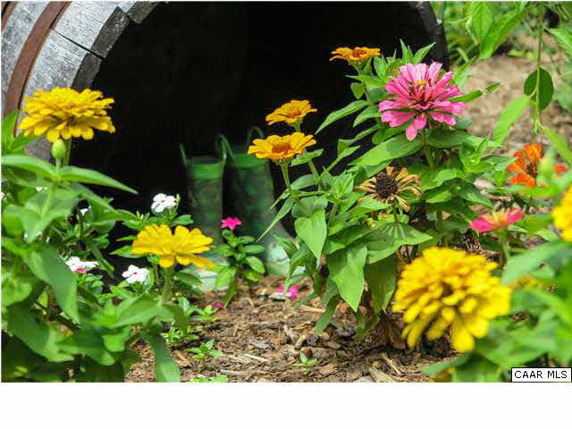 6725 Amicus Road Ruckersville, VA 22968 - Photo 45 of 50 a flower view