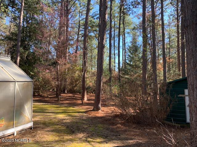 255 Cliff Road Southern Pines, NC 28387 - Photo 57 of 68 Looking into back yard...