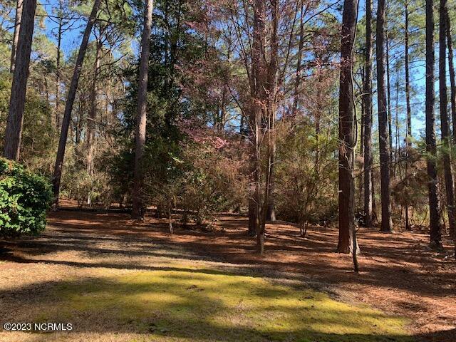 255 Cliff Road Southern Pines, NC 28387 - Photo 61 of 68 Spring is near...