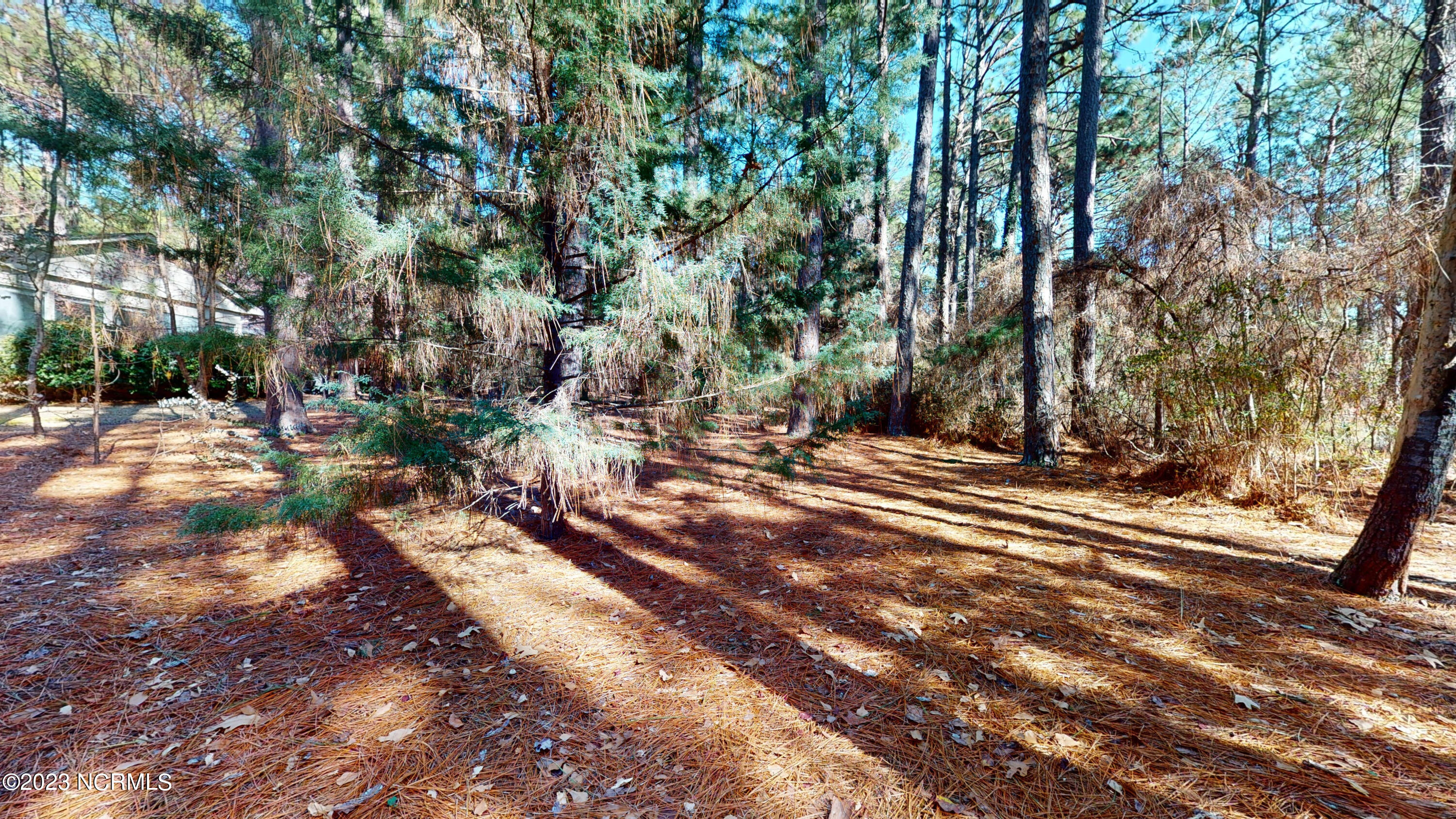 255 Cliff Road Southern Pines, NC 28387 - Photo 62 of 68 Back yard