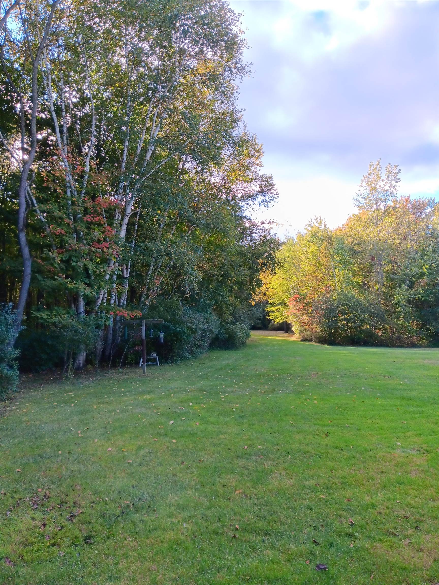 14325 North Lewis Road Clio, MI 48420 - Photo 66 of 74 50171949-77ad9625-2702-4233-9e44-570b9efe02ba.JPG