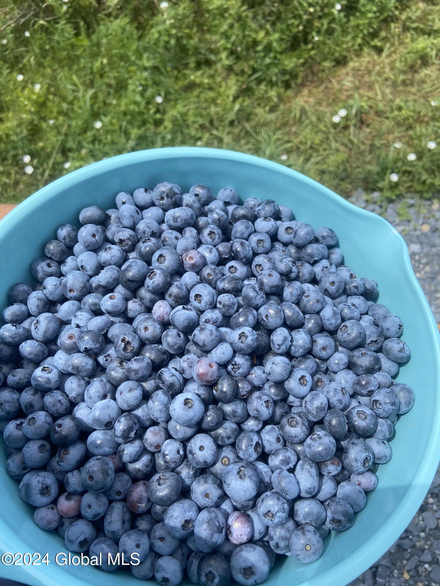 Berries