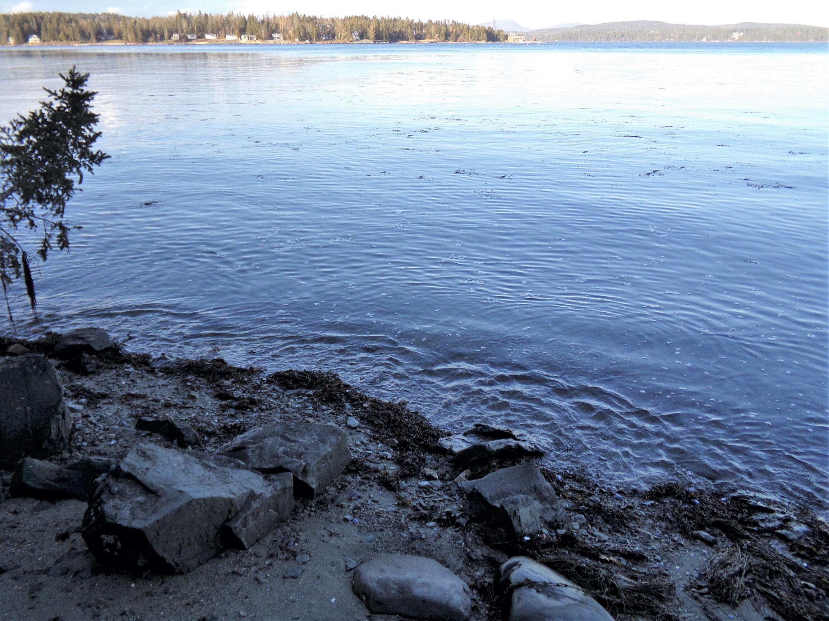112 Jellison Cove Road Hancock, ME 04640 - Photo 2 of 10 1j.135_2321.ed