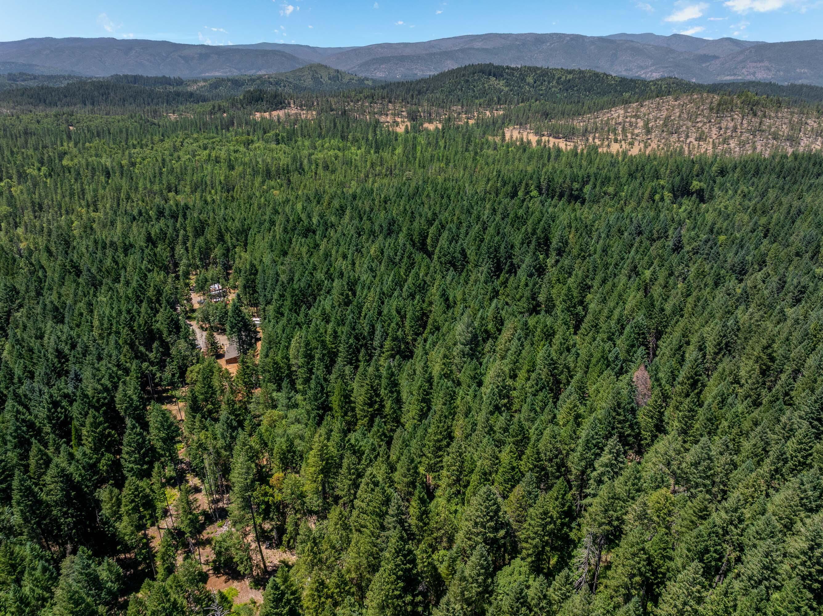 7443 Rockydale Road Cave Junction, OR 97523 - Photo 2 of 10 DRONE (1 of 5)