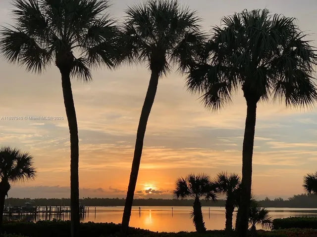 an ocean view with palm trees