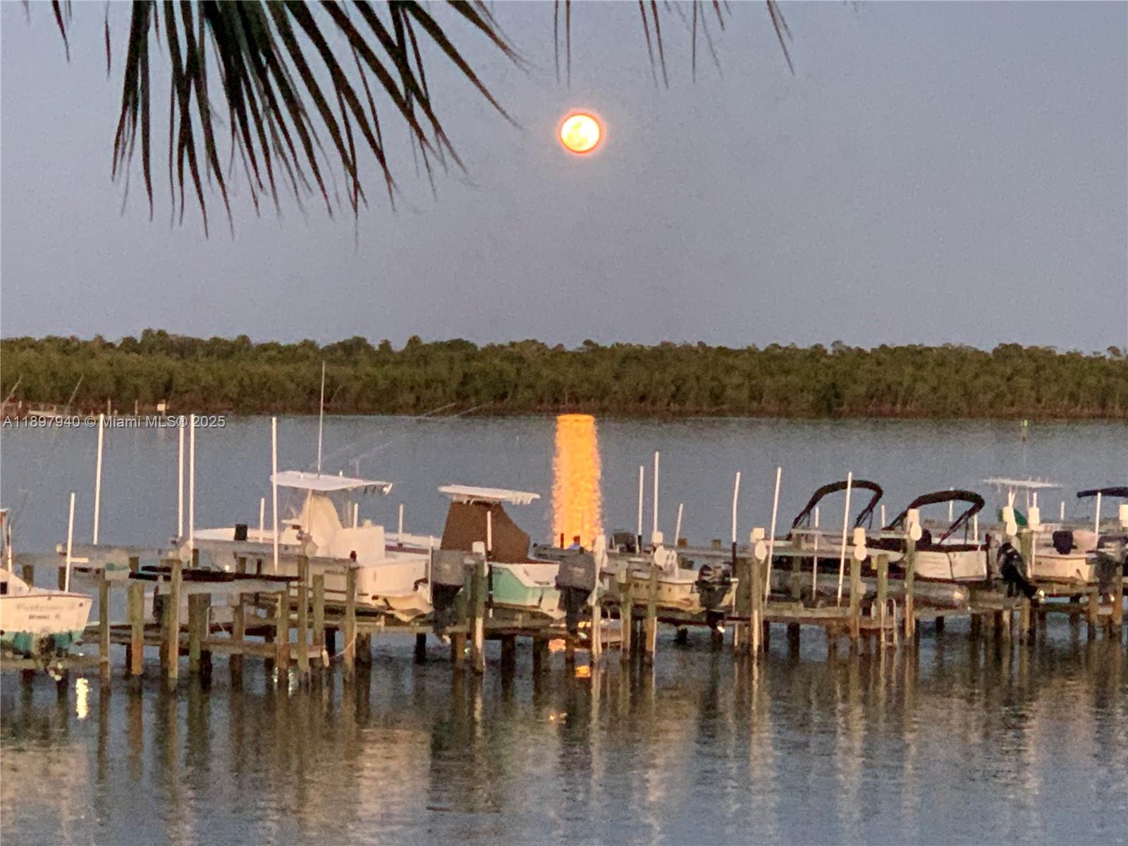 6062 Southeast Landing Way, Unit 15 Stuart, FL 34997 - Photo 2 of 43 a view of a lake with mountain view