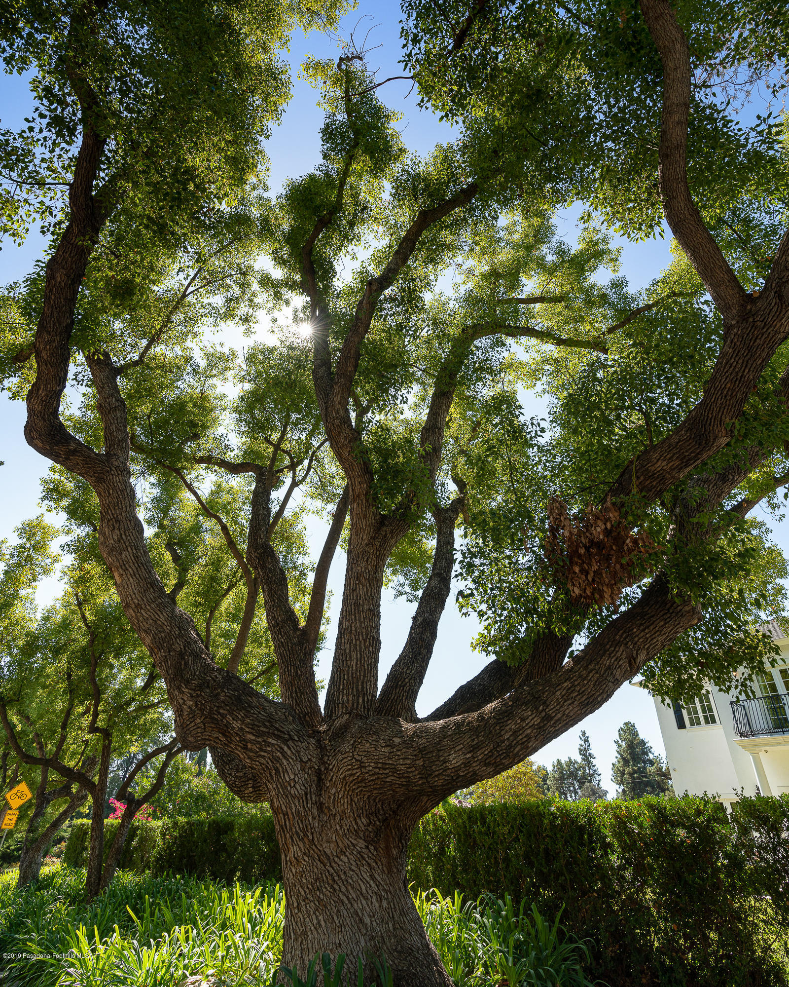 1964 Glenview Terrace Altadena, CA 91001 - Photo 62 of 73 egpimaging_1964Glenview_061_FLEXMLS