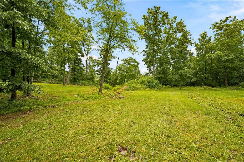 0 Mastillo Road Boswell, PA 15935 - Photo 20 of 36