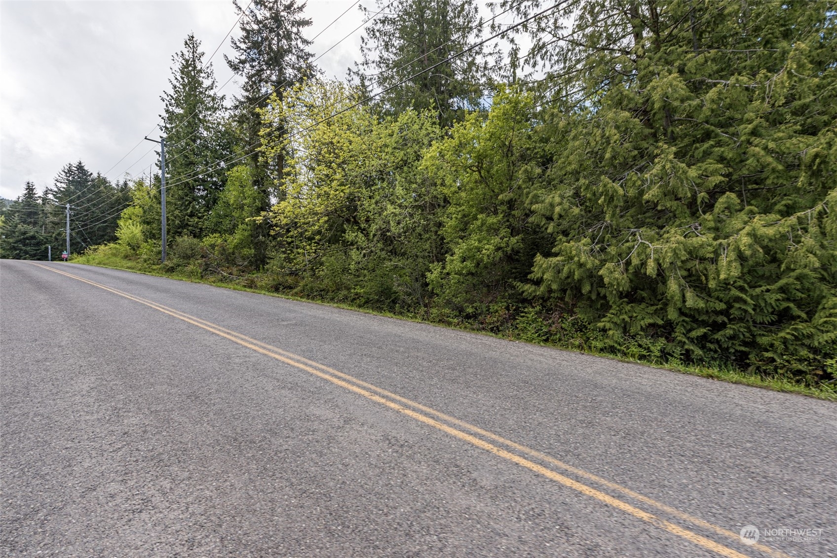 999 Louella Road Sequim, WA 98382 - Photo 23 of 38 a view of a field with plants and trees in the background