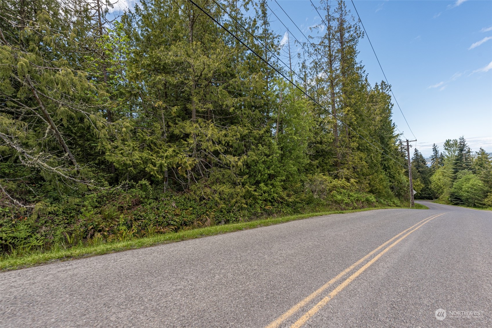 999 Louella Road Sequim, WA 98382 - Photo 24 of 38 a view of a field with plants and trees in the background