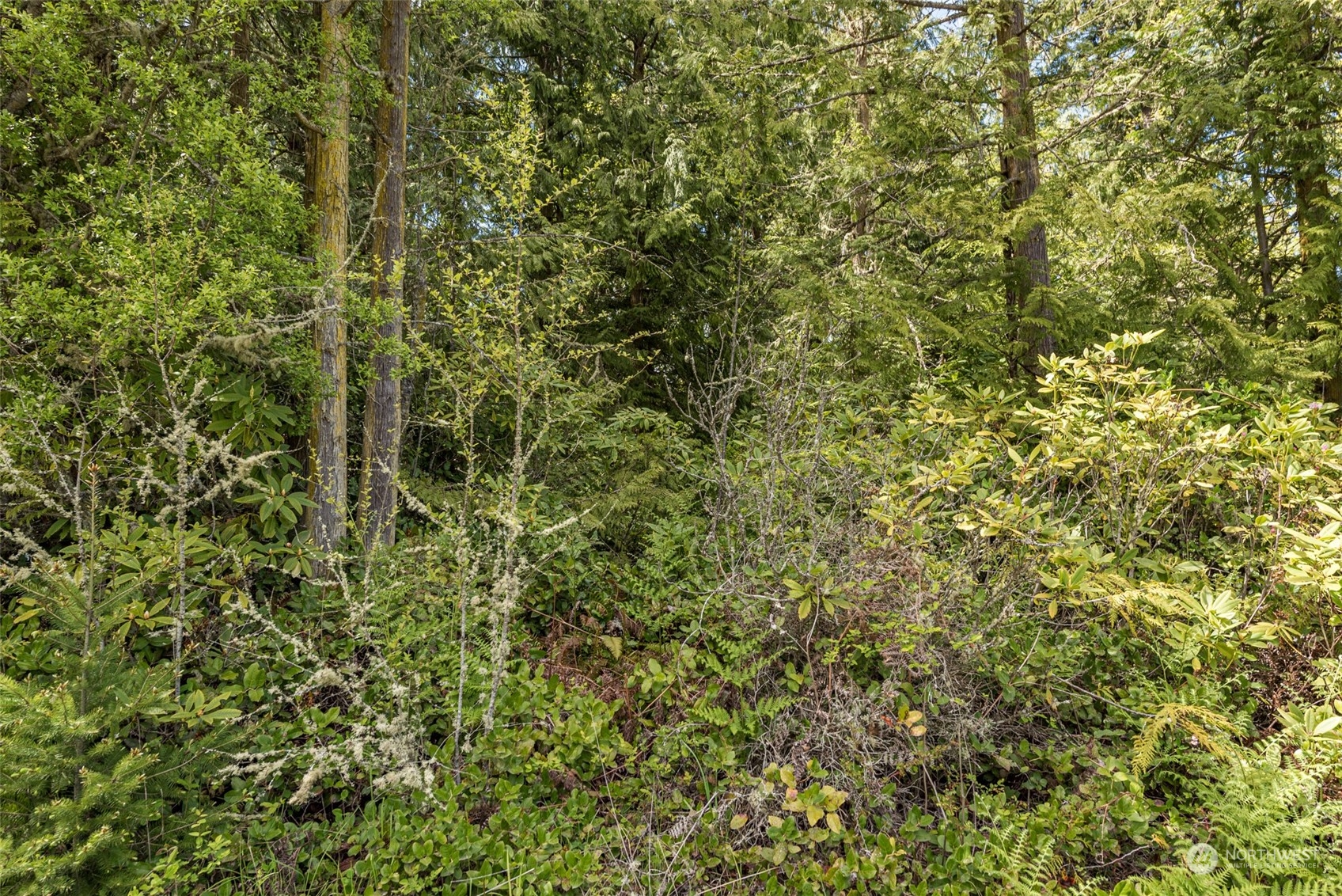 999 Louella Road Sequim, WA 98382 - Photo 32 of 38 a view of a house with a lush green forest