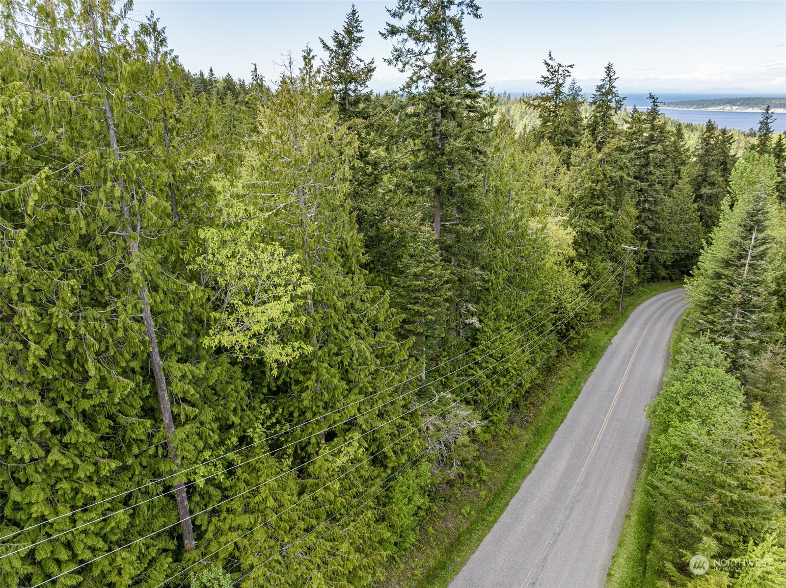 999 Louella Road Sequim, WA 98382 - Photo 7 of 38 a view of a forest from a window