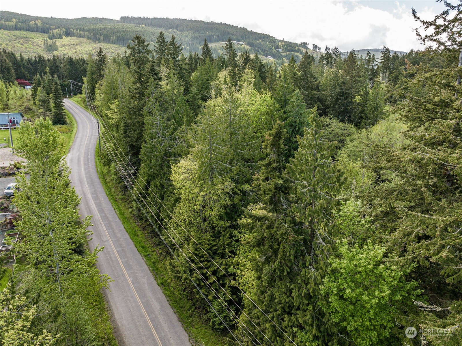 999 Louella Road Sequim, WA 98382 - Photo 8 of 38 a view of a forest with a street