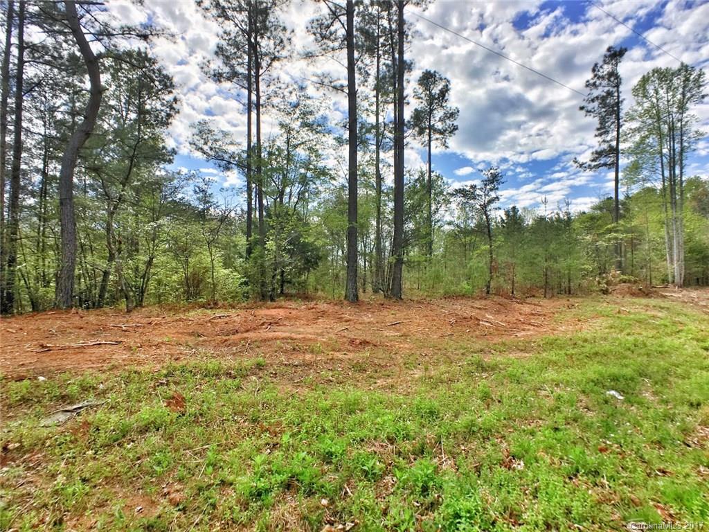 0 Mountain Creek Road Rutherfordton, NC 28139 - Photo 1 of 6