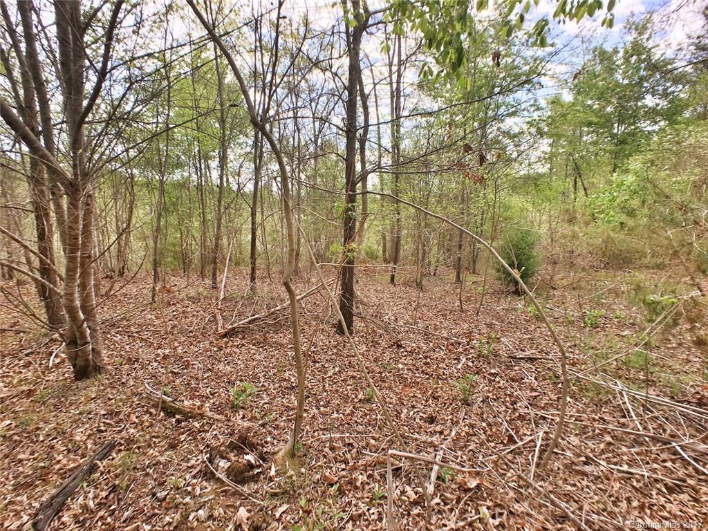 0 Mountain Creek Road Rutherfordton, NC 28139 - Photo 5 of 6