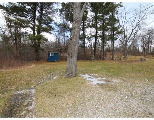 68 Upland Street Worcester, MA 01607 - Photo 15 of 17 a view of a yard with a tree