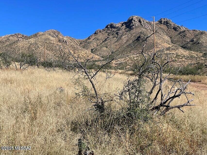 394 Esponja Court, Unit 85 Rio Rico, AZ 85648 - Photo 3 of 10 East view MSC