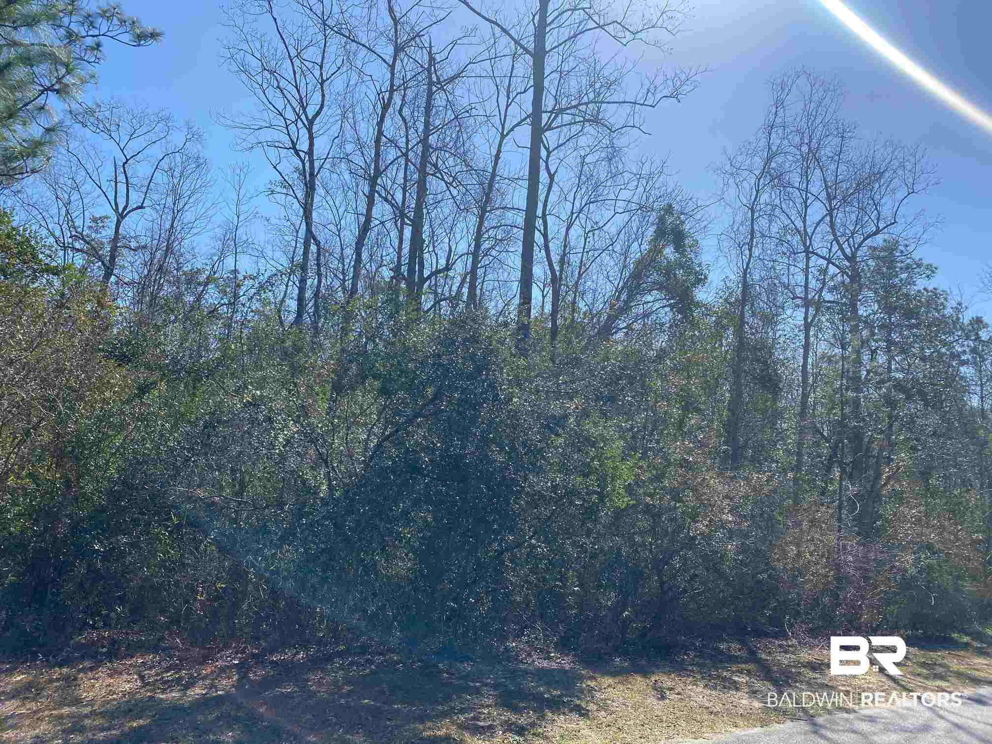Timber Ridge Drive Loxley, AL 36551 - Photo 7 of 11