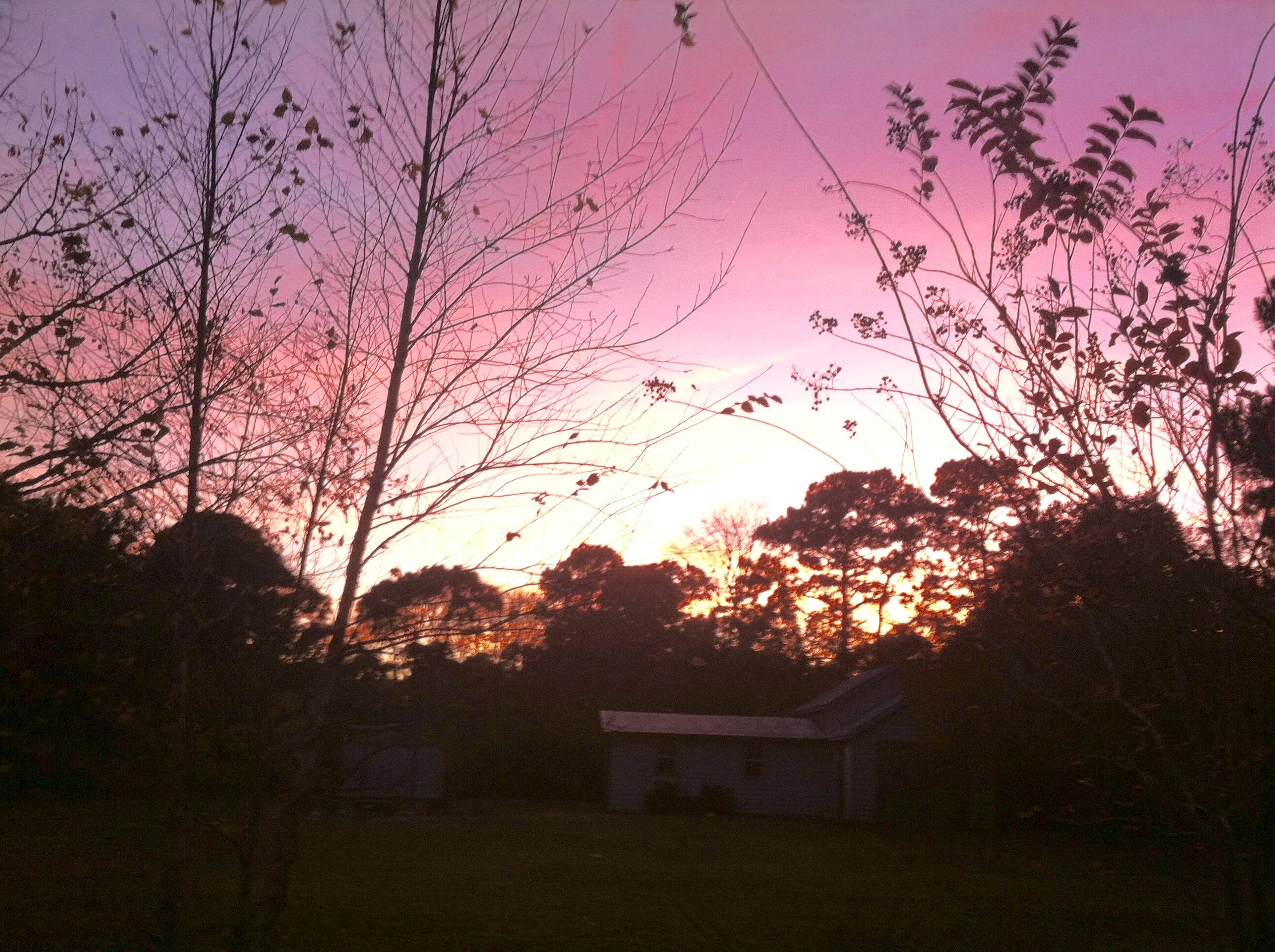 1123 Harbor View Road Charleston, SC 29412 - Photo 26 of 28 24-Sunset