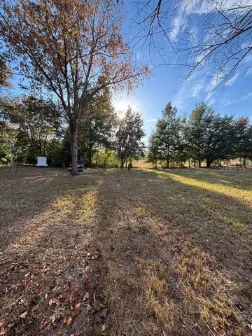 a view of a yard with a tree