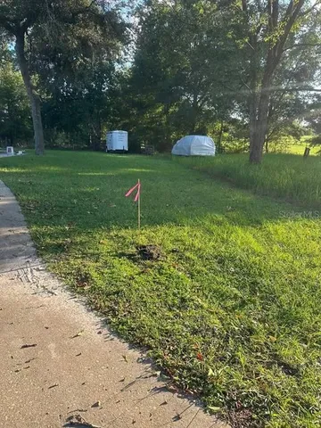 a green field with lots of bushes