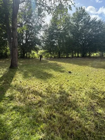 a view of yard with green space