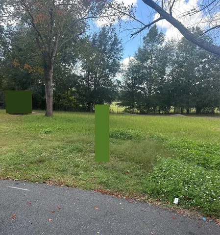 a view of a field with a tree
