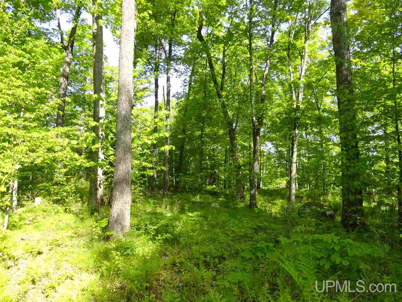 7202 Elm Road Republic, MI 49879 - Photo 19 of 36