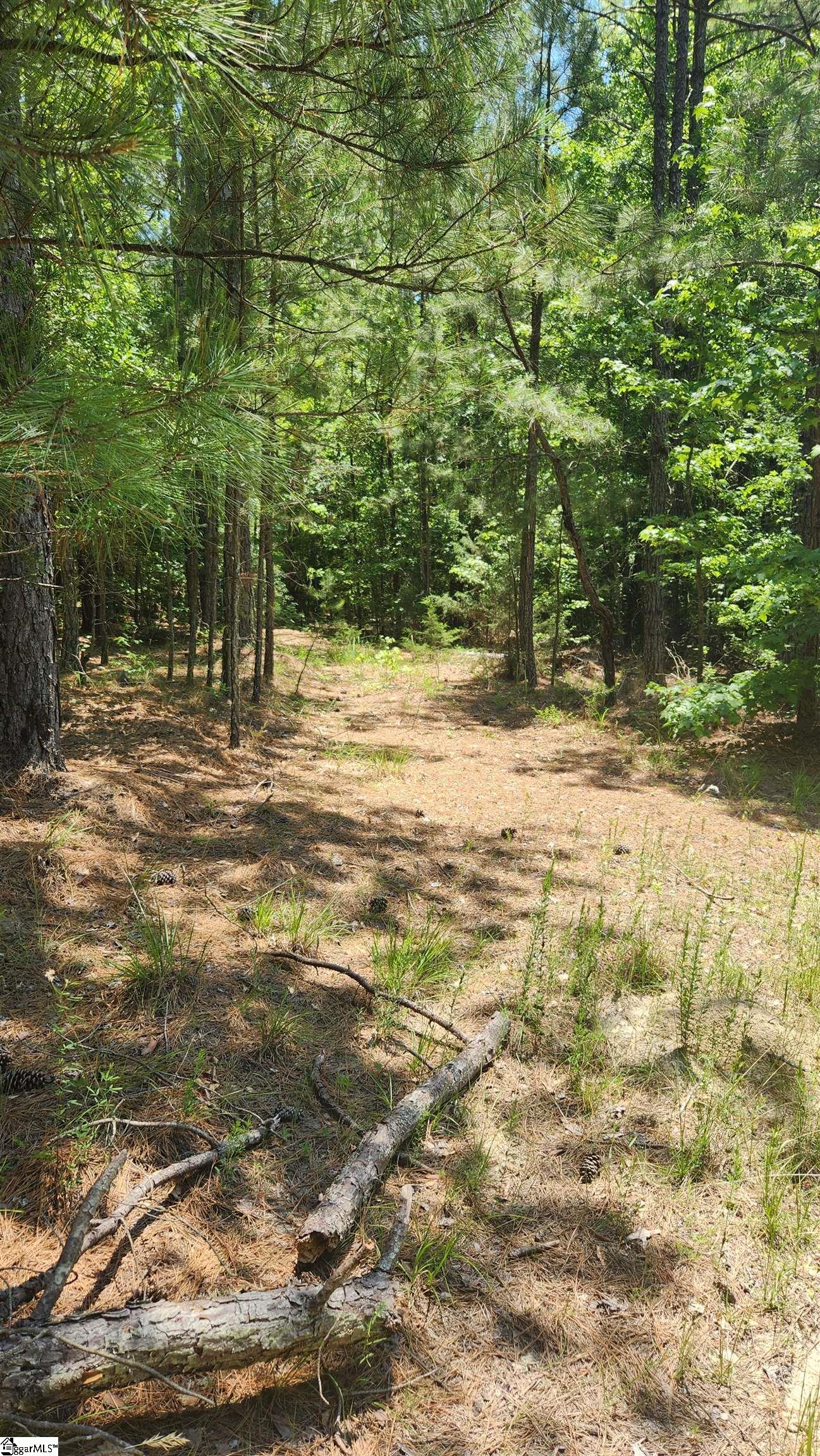 Apple Orchard Road Clinton, SC 29325 - Photo 3 of 8 Gallery Image 3