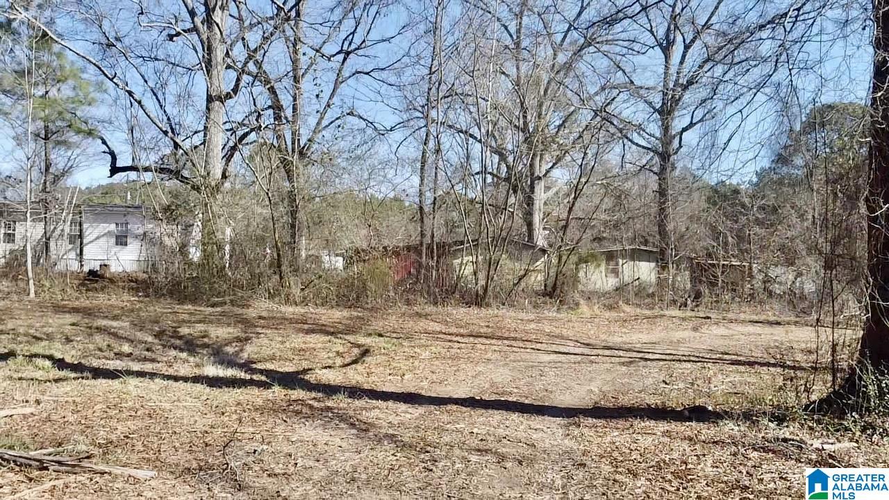 2161 Odens Mill Road Sylacauga, AL 35151 - Photo 10 of 17 Gallery Image 10