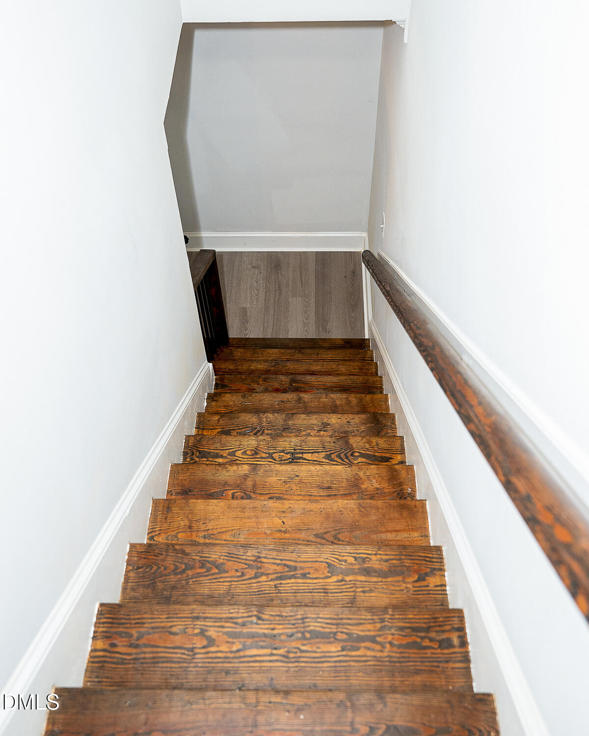 2205 Bufflehead Road Raleigh, NC 27616 - Photo 7 of 21 MonicaLemusPhotography-11