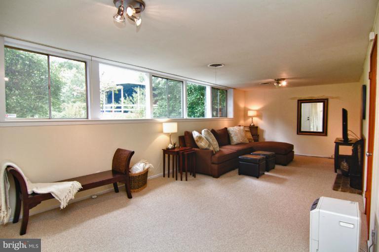 2924 Meadow View Road Falls Church, VA 22042 - Photo 18 of 19 Basement