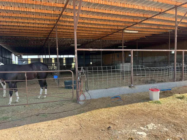 $1,750,000 | 3851 North 1400 East, Buhl, ID 83316