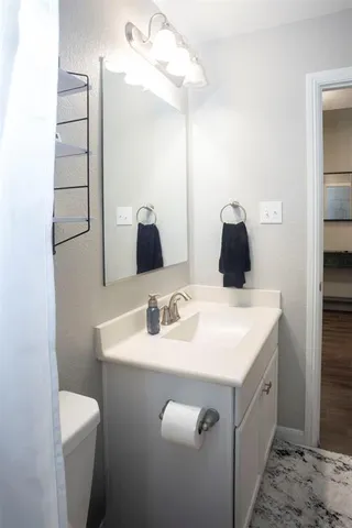 a bathroom with a sink a toilet and mirror