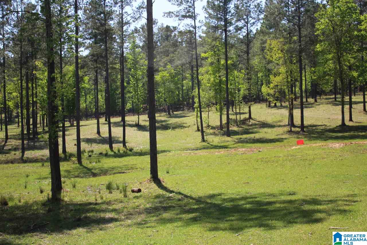 0 Alston Farm Road, Unit 1 Columbiana, AL 35051 - Photo 3 of 8