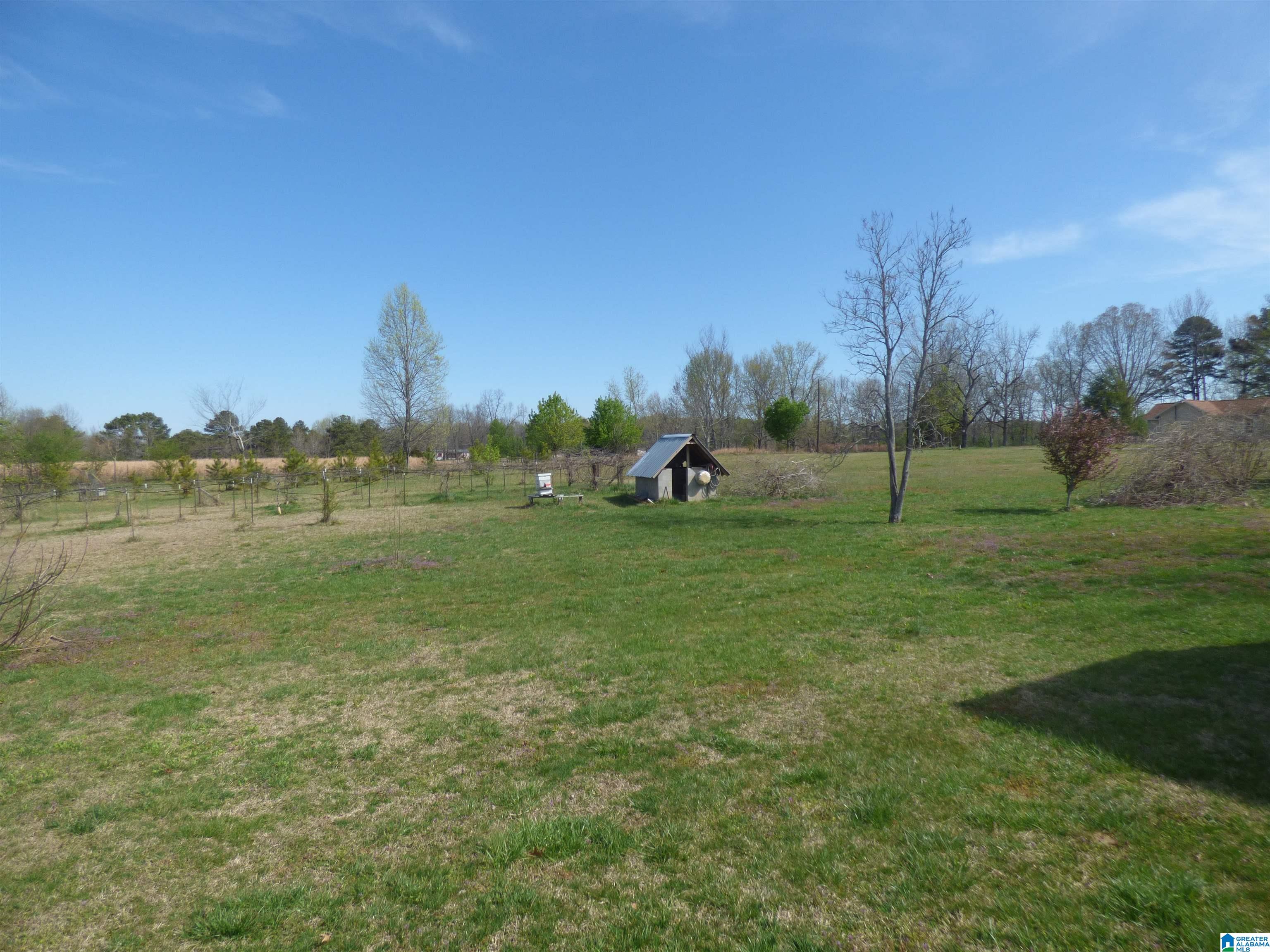 114 Haynes Road Altoona, AL 35952 - Photo 34 of 49