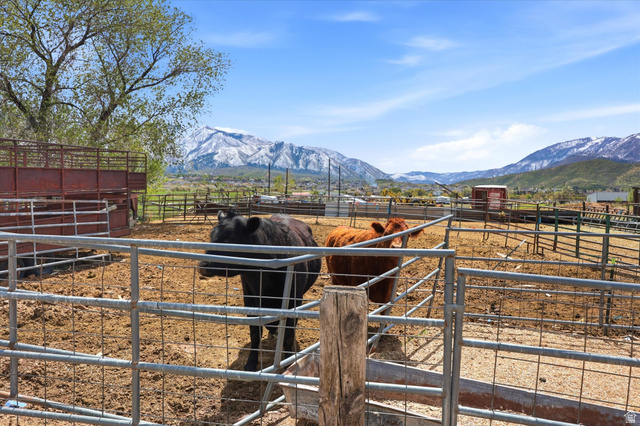 793 West Salem Canal Road Salem, UT 84653 - Photo 10 of 32