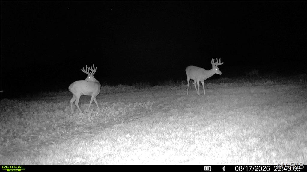 0 Terry Park Road Palmyra, IL 62674 - Photo 22 of 73 Gallery Image 22