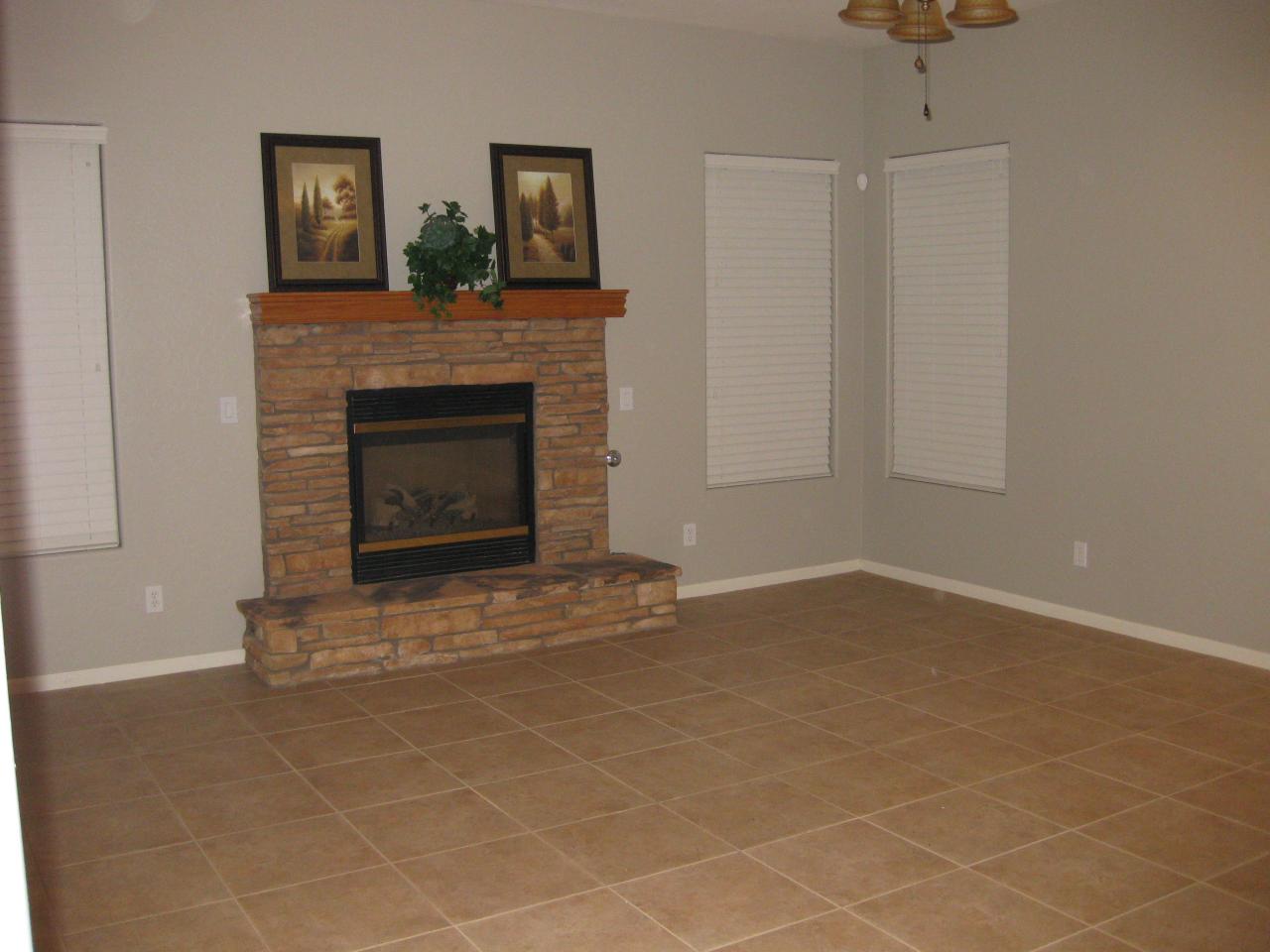 3281 East Kimball Road Gilbert, AZ 85297 - Photo 11 of 20 Gas Fireplace