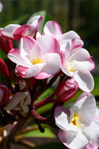 $1,999,900 | 12 Serna, Rancho Santa Margarita, CA 92688