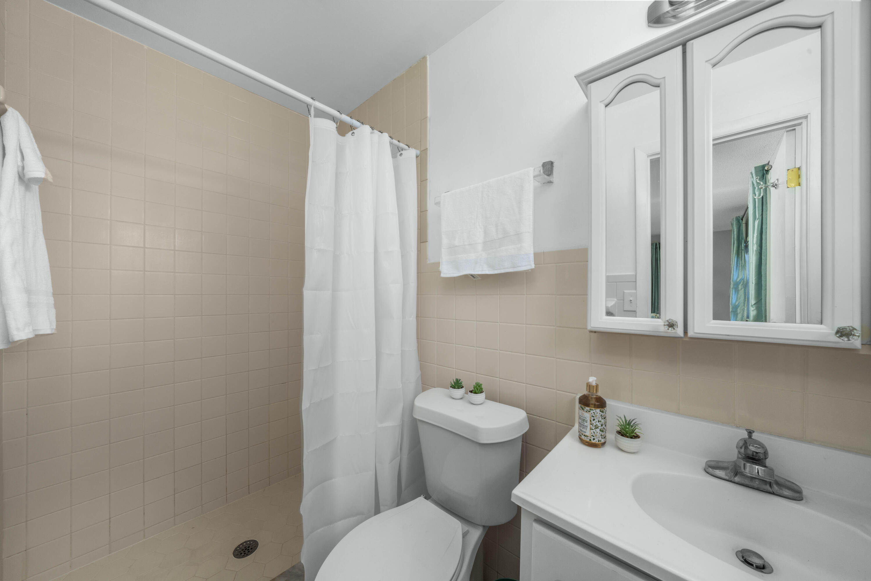 251 Grape Road Northwest Lake Placid, FL 33852 - Photo 19 of 24 interior - master bathroom - 1