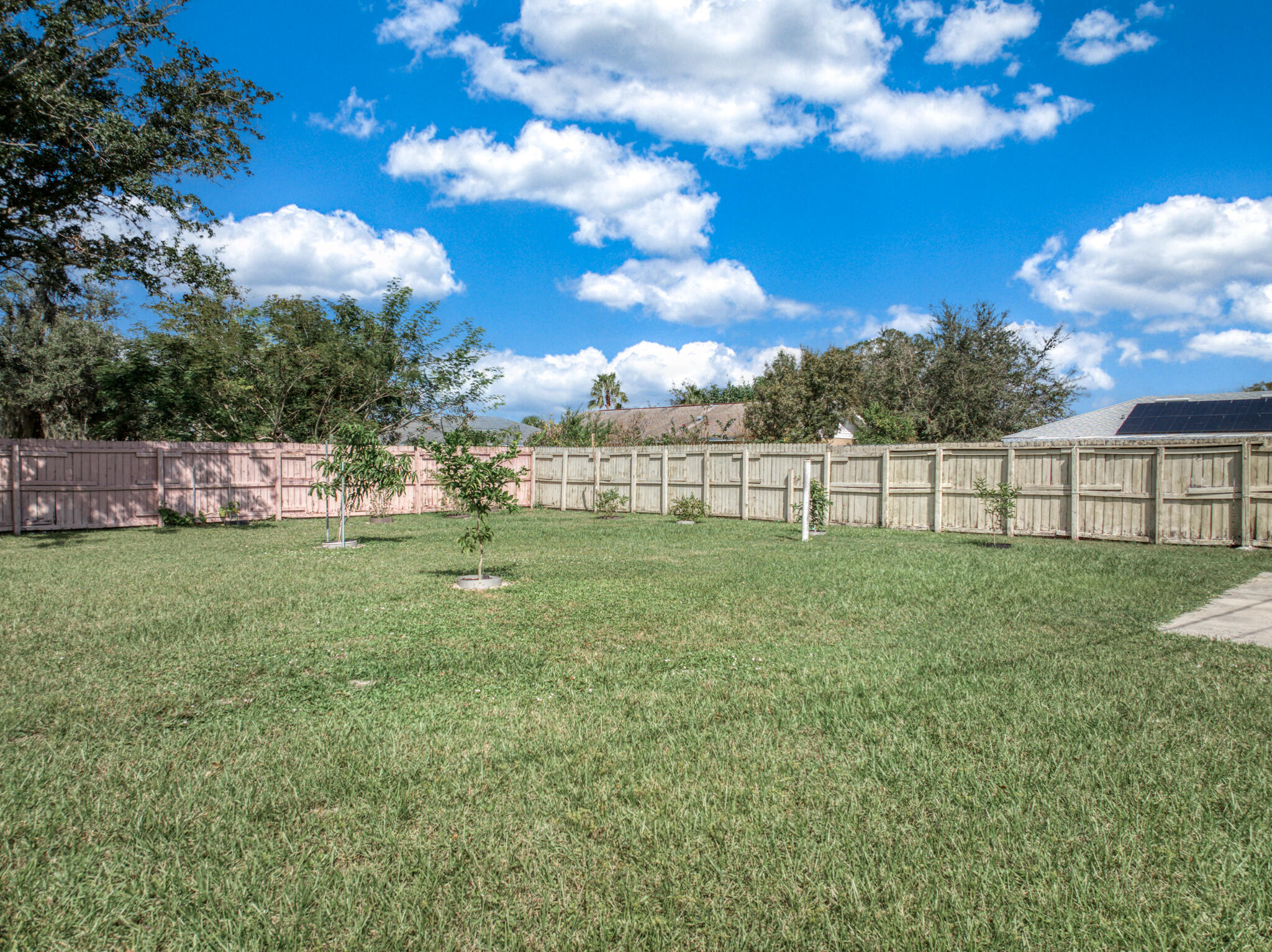 exterior - backyard 1
