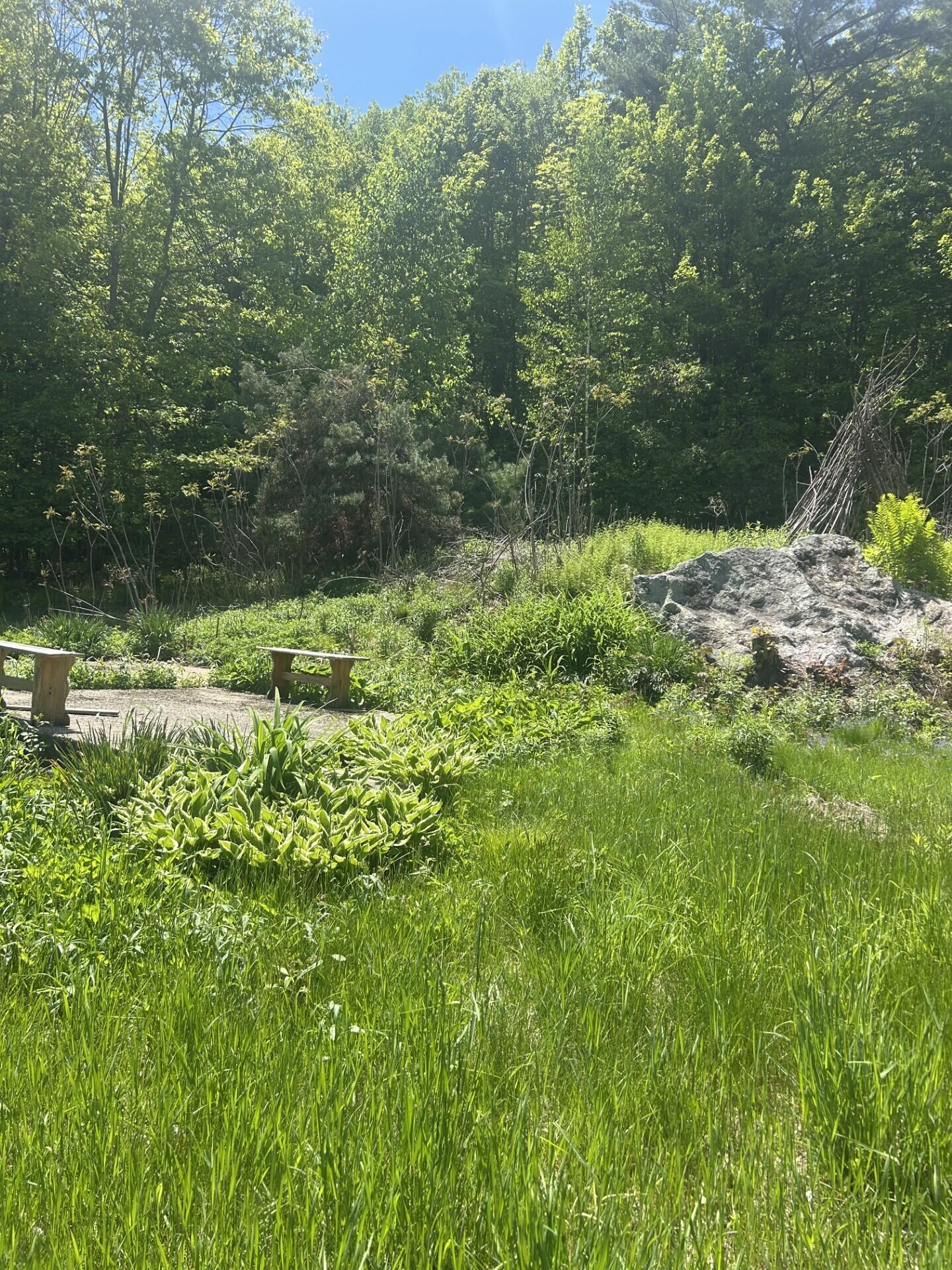 949 Federal Road Livermore, ME 04253 - Photo 7 of 24 0417 rear side yard